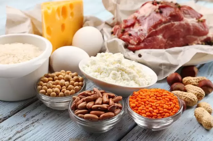 продукти за протеинова диета